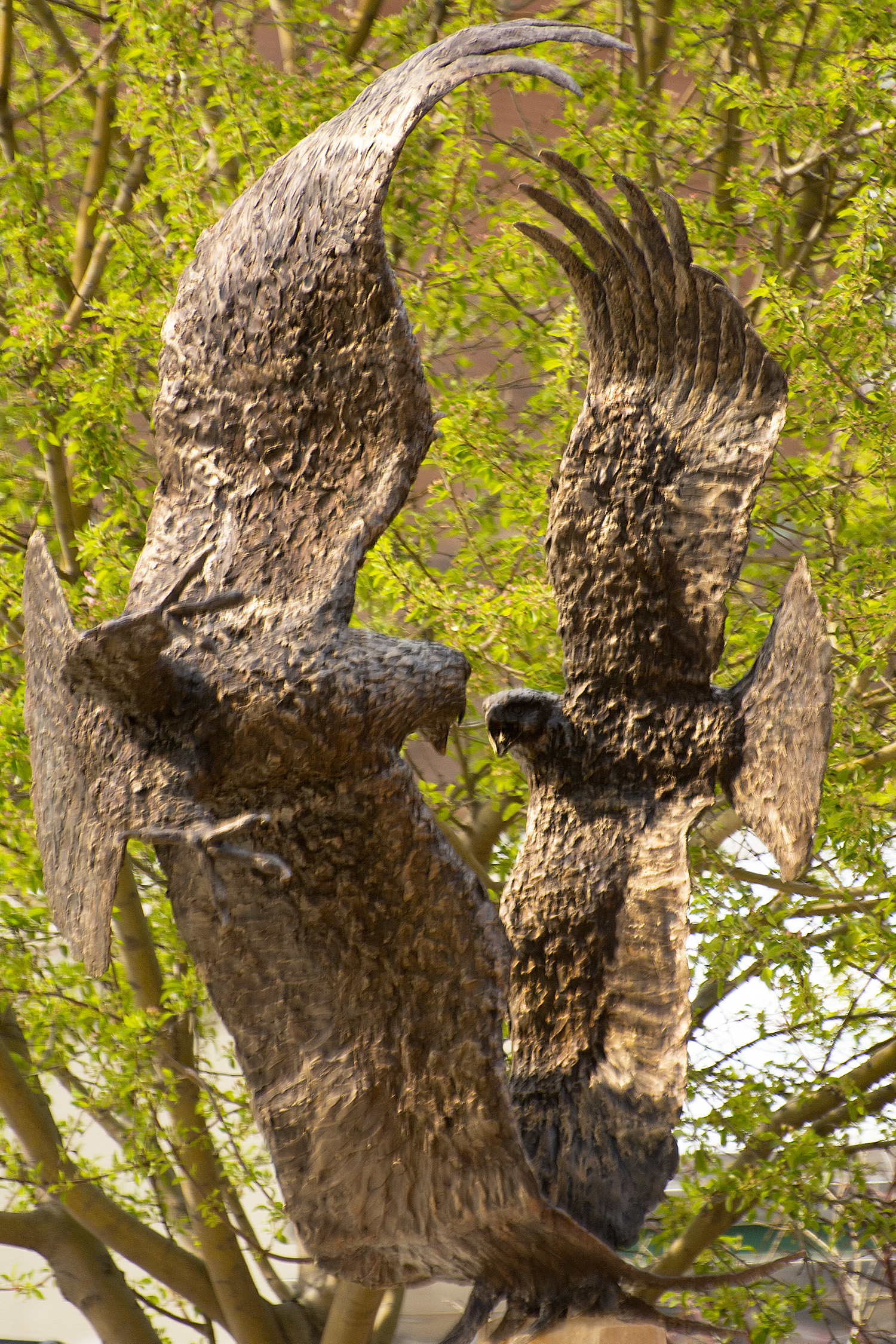 11-The_Eagle_and_the_Hawk
