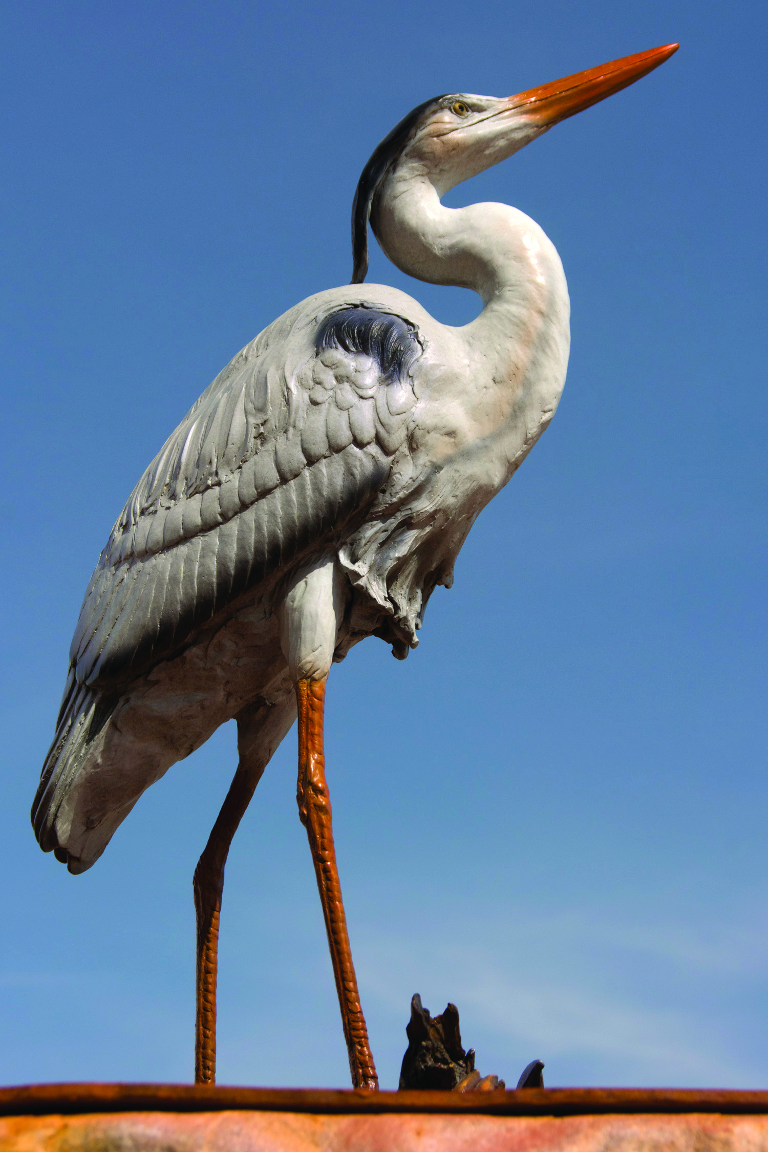 20-Blue_Heron 20-Blue_Heron
