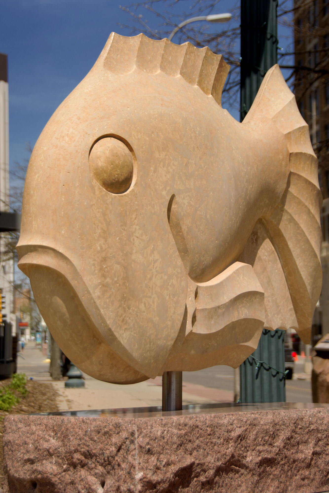 016-Rock_Fish