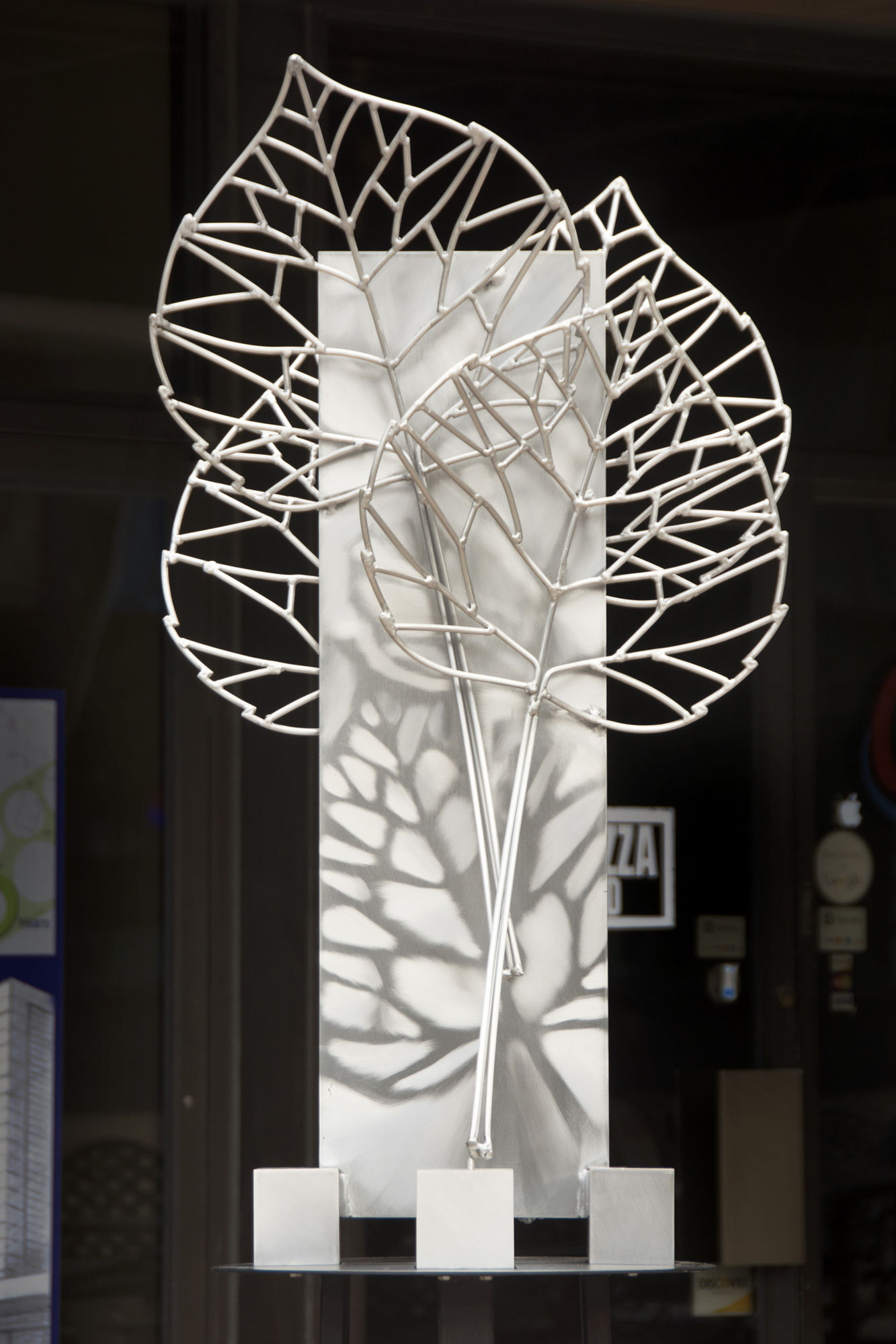 017-Silver_Aspen 017-Silver_Aspen