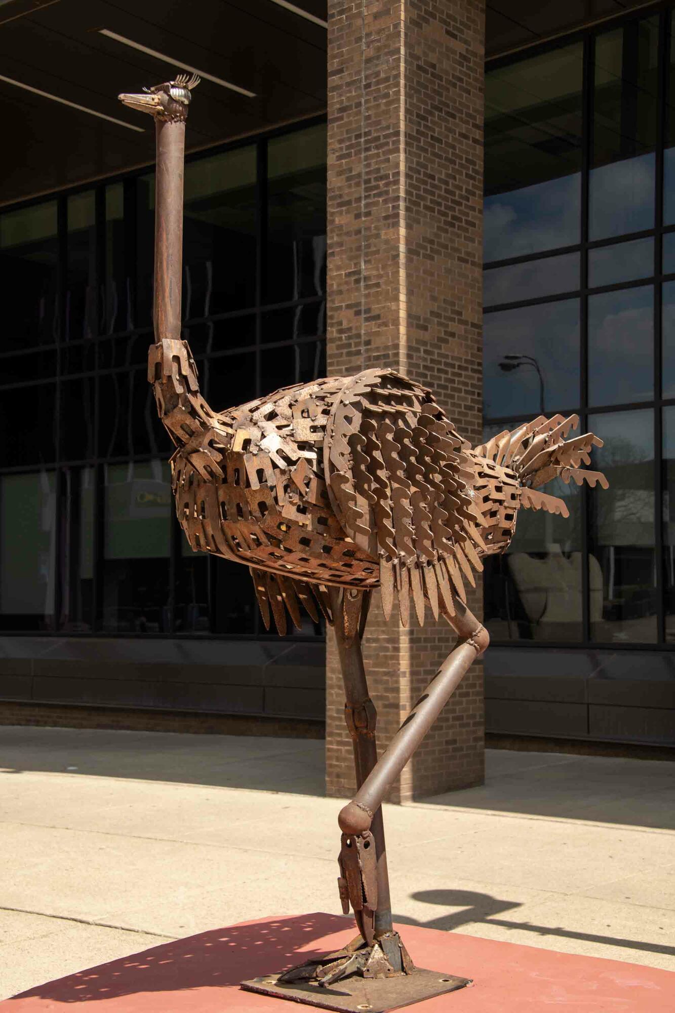 022-Ostrich_V 022-Ostrich_V