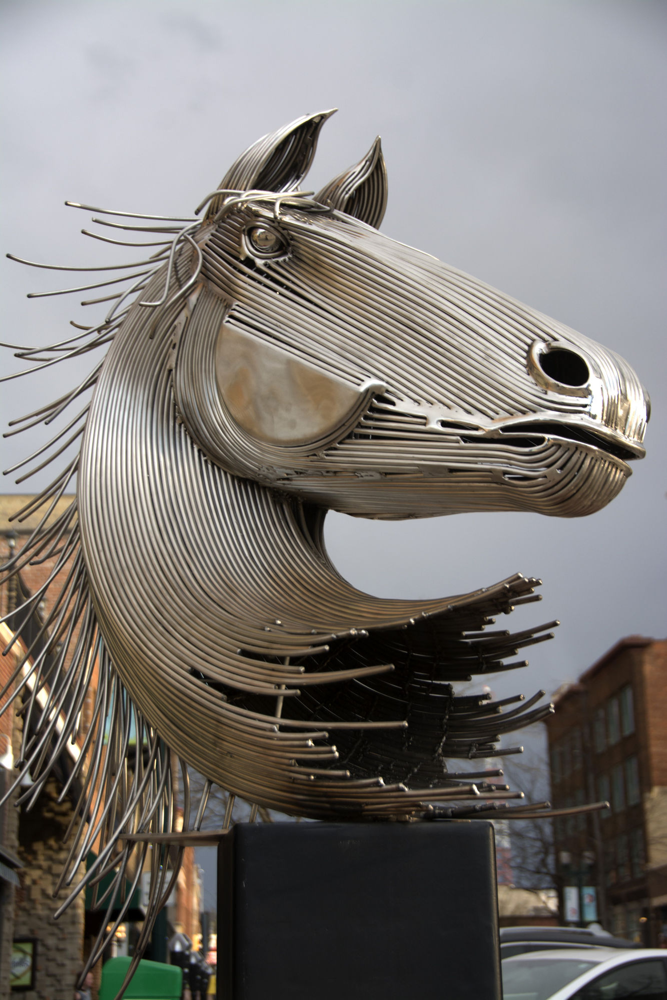 035-Horse 035-Horse