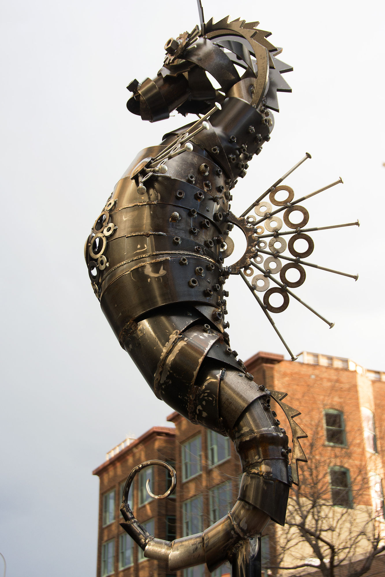 038-Seahorse 038-Seahorse