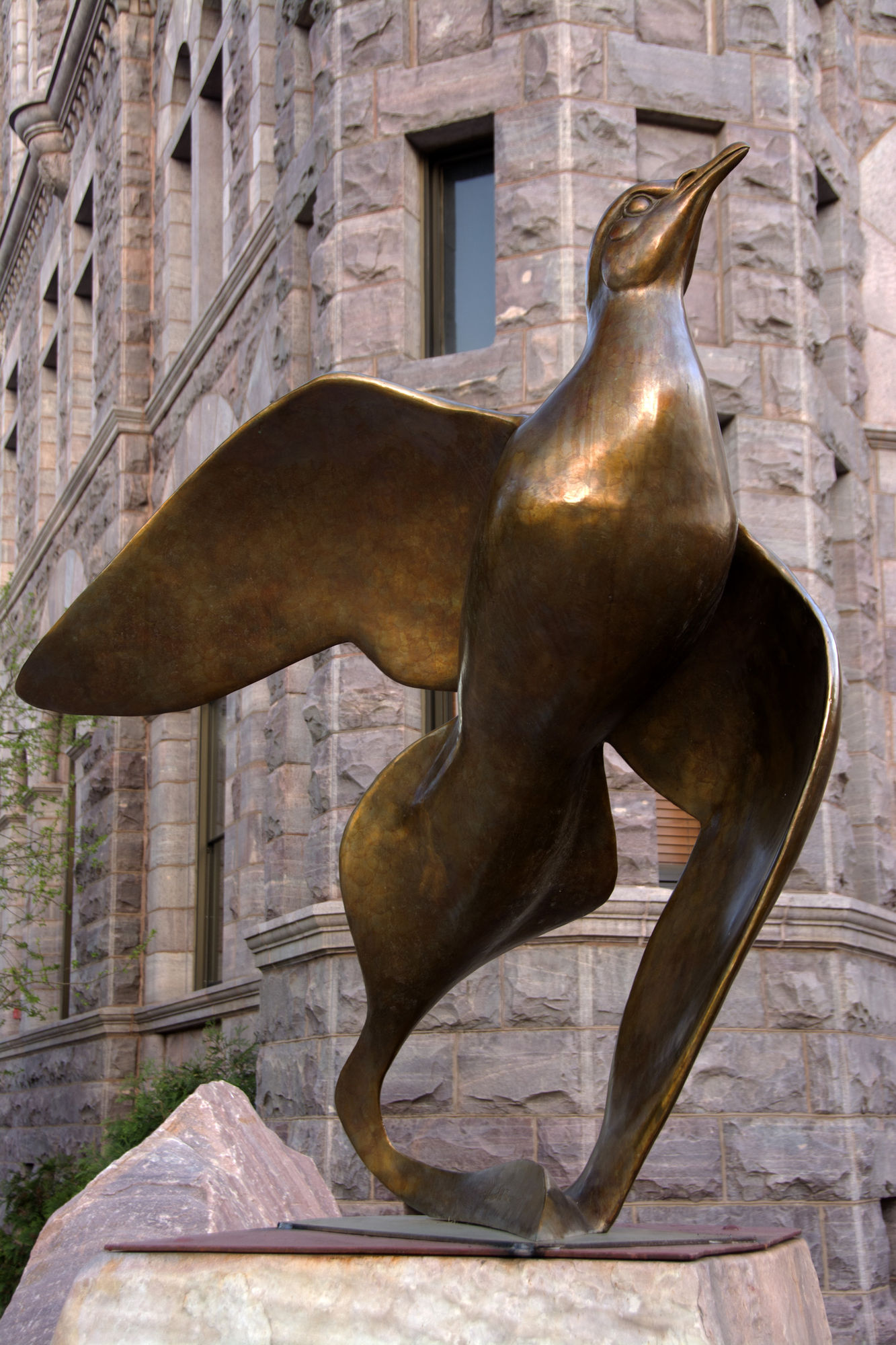 047-Dove_Spirit