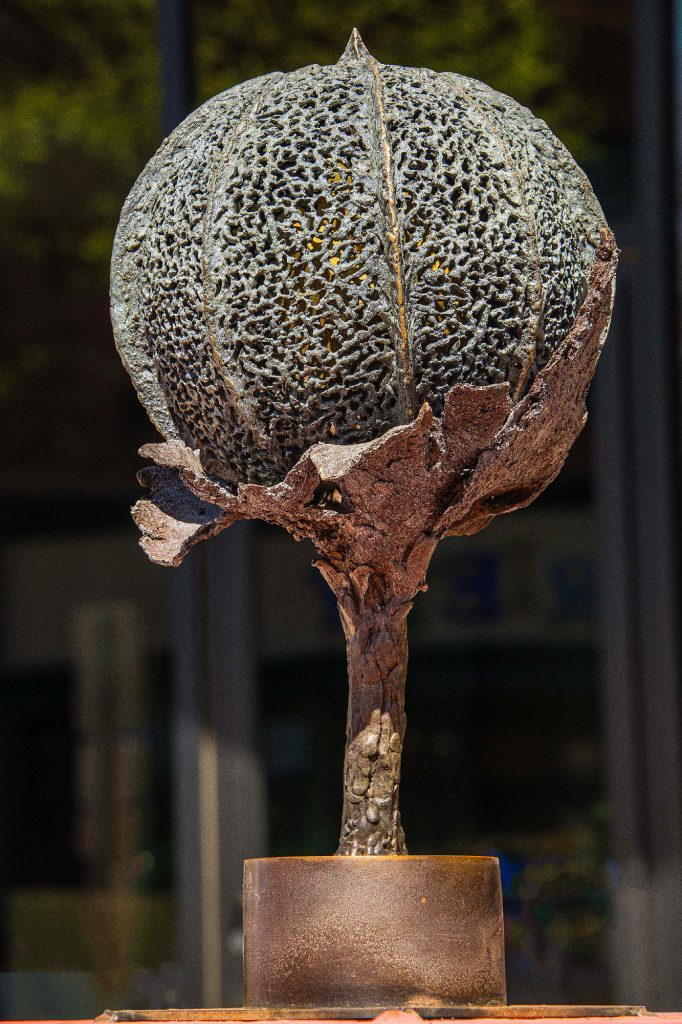 Gone to Seed