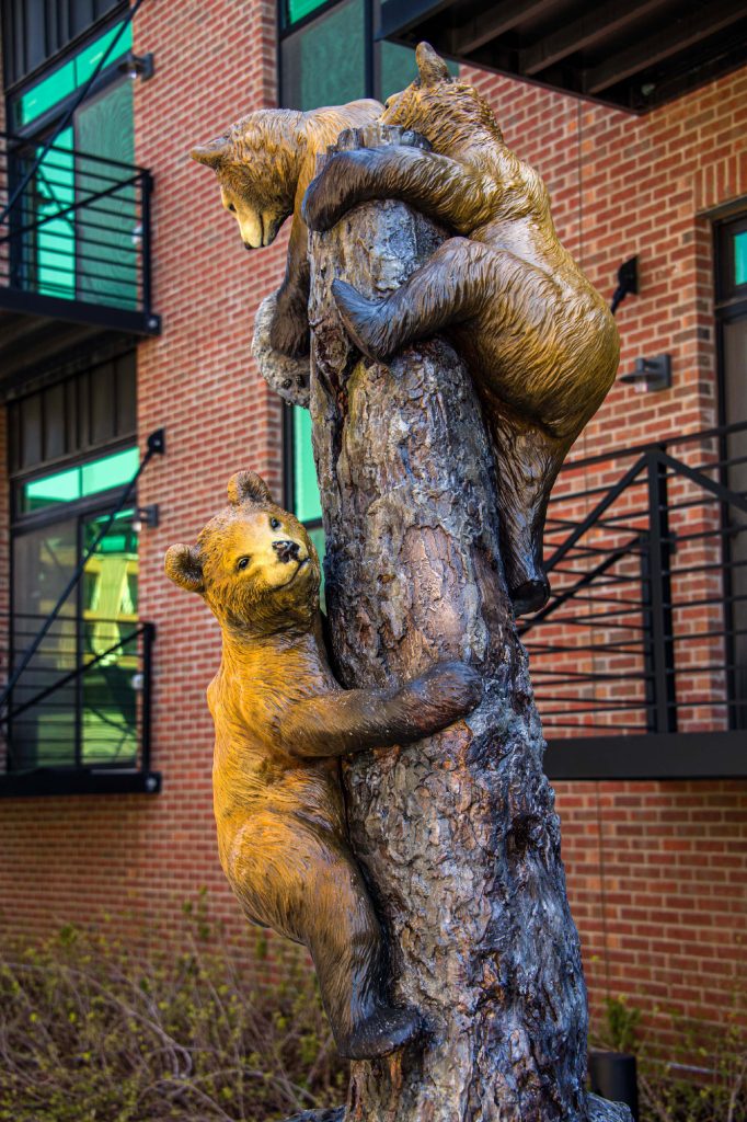 3 Cubs in a Tree