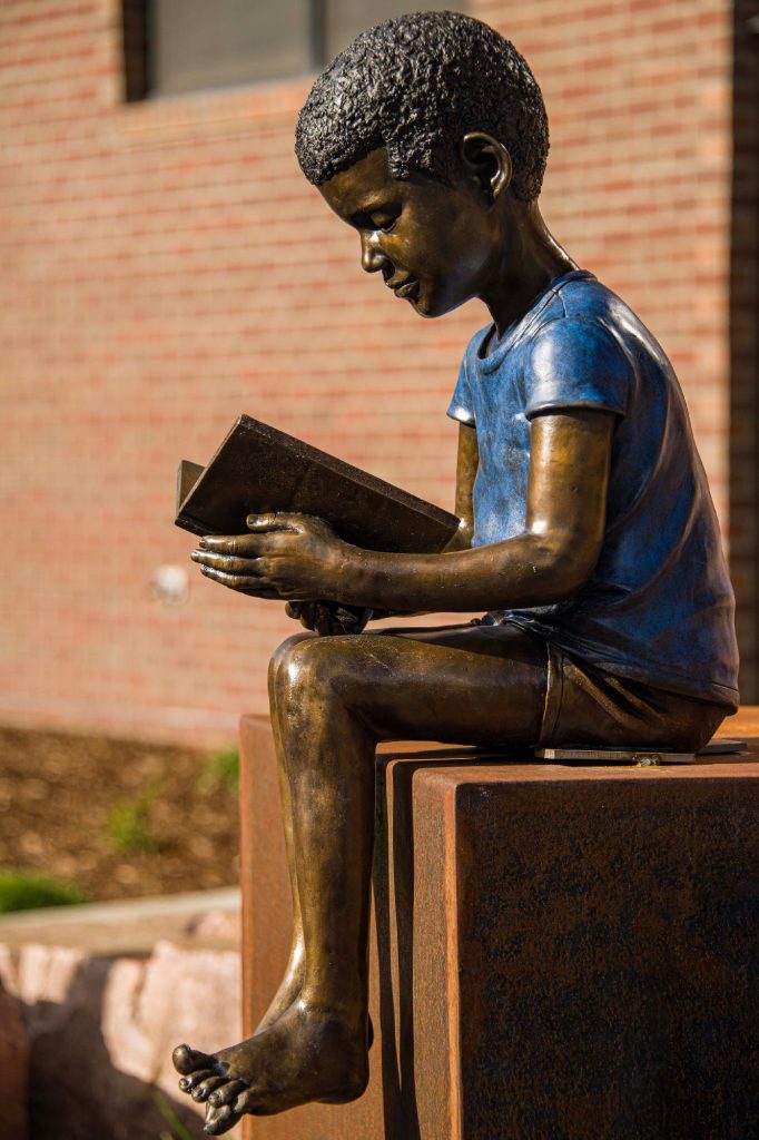 Boy Reading a Book