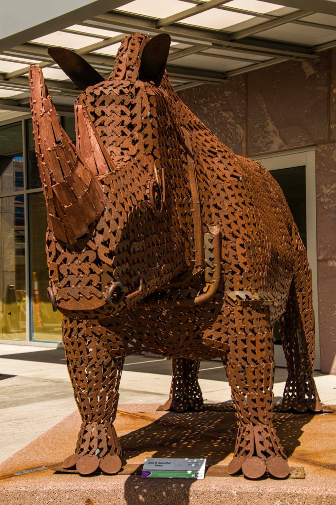 Salvage Rhino