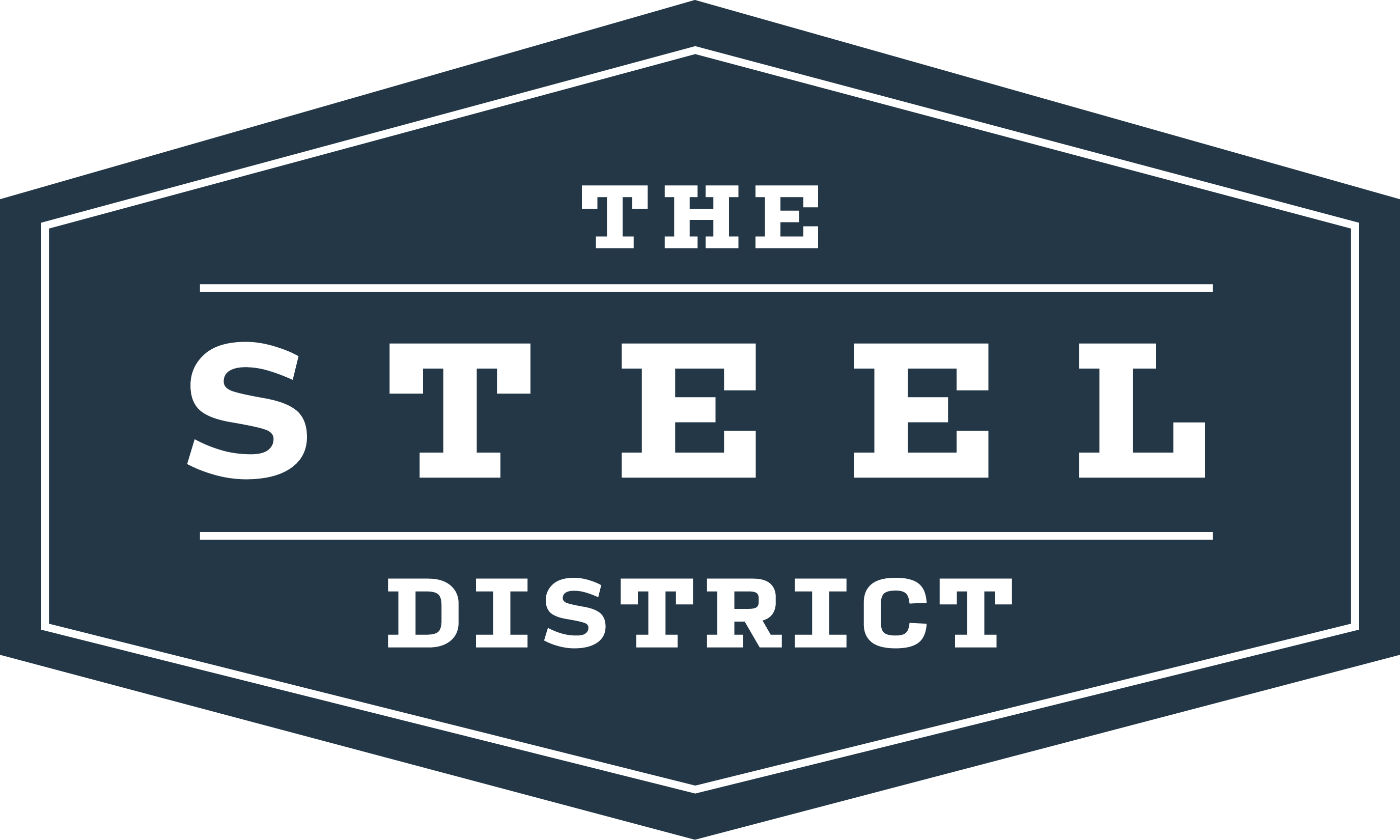 SteelDistrict_Logo_v01_PMS7546.png